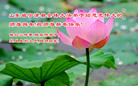 ֹ,д󷨵ӹףʦ(27)
