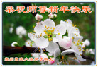 ֹ,ݴ󷨵ӹףʦ(27)
