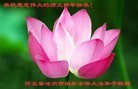 ֹ,ӱ󷨵ӹףʦ(26)
