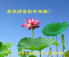 法轮功,河南大法弟子恭祝师尊过年好(27条)
