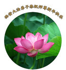 法轮功,西安大法弟子恭祝师尊过年好(23条)
