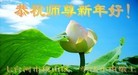 法轮功,黑龙江大法弟子恭祝师尊过年好(26条)

