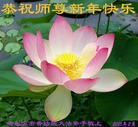 ֹ,󷨵ӹףʦ(24)
