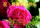 ֹ,ʡ󷨵ӹףʦ(29)
