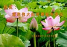 ֹ,ʡ󷨵ӹףʦ(29)
