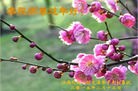 ֹ,󷨵ӹףʦ(28)
