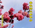 ֹ,󷨵ӹףʦ(25)
