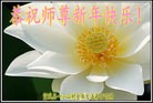 ֹ,ɳ󷨵ӹףʦ(25)
