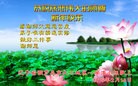 法轮功,葫芦岛大法弟子恭祝师尊过年好(26条)
