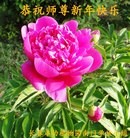 ֹ,󷨵ӹףʦ(25)

