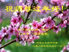 ֹ,ʡ󷨵ӹףʦ(27)
