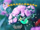 ֹ,󷨵ӹףʦ(26)
