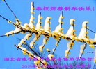 ֹ,󷨵ӹףʦ(20)
