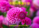 ֹ,ϴ󷨵ӹףʦ(32)
