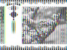 ֹ,󷨵ӹףʦ(28)
