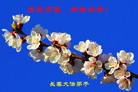 ֹ,󷨵ӹףʦ(26)
