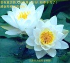 ֹ,󷨵ӹףʦ(28)
