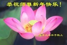 法轮功,河南大法弟子恭祝师尊过年好(30条)
