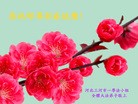 法轮功,廊坊大法弟子恭祝师尊过年好(27条)
