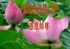 ֹ,󷨵ӹףʦ(25)
