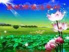 ֹ,󷨵ӹףʦ(28)
