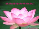 ֹ,㶫󷨵ӹףʦ(33)
