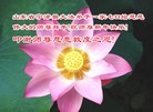 ֹ,д󷨵ӹףʦ(29)
