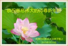 ֹ,󷨵ӹףʦ(28)
