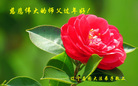 ֹ,󷨵ӹףʦ(29)
