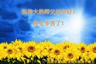 法轮功,沈阳大法弟子恭祝师尊过年好(27条)
