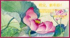 ֹ,㽭󷨵ӹףʦ(28)
