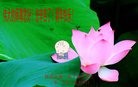 法轮功,西安大法弟子恭祝师尊过年好(26条)
