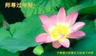 ֹ,Ĵ󷨵ӹףʦ(25)
