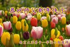 ֹ,մ󷨵ӹףʦ(30)
