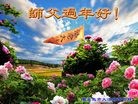法轮功,秦皇岛大法弟子恭祝师尊过年好(29条)
