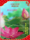 ֹ,󷨵ӹףʦ(25)
