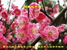 ֹ,󷨵ӹףʦ(23)
