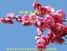 ֹ,󷨵ӹףʦ(23)
