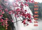 ֹ,ݴ󷨵ӹףʦ(28)
