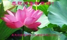 ֹ,󷨵ӹףʦ(29)
