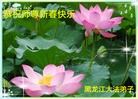 ֹ,󷨵ӹףʦ(24)
