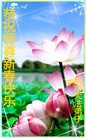 ֹ,󷨵ӹףʦ(24)
