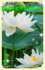 ֹ,󷨵ӹףʦ(24)
