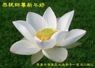 ֹ,ൺ󷨵ӹףʦ(25)
