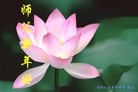 ֹ,󷨵ӹףʦ(28)
