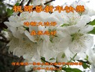 ֹ,󷨵ӹףʦ(26)
