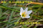 ֹ,մ󷨵ӹףʦ(27)
