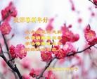 ֹ,󷨵ӹףʦ(24)

