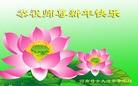 法轮功,河南大法弟子恭祝师尊过年好(30条)
