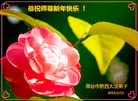 ֹ,ӱ󷨵ӹףʦ(29)
